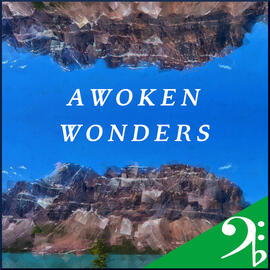 awokenwonders-album